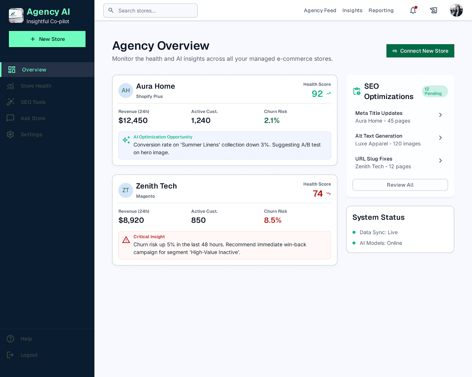 Agency AI overview showing connected WooCommerce store performance